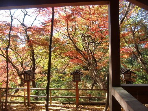 等々力不動尊　紅葉