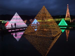 光のピラミッド　あしかがフラワーパーク
