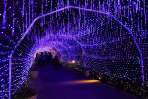 江の島湘南の宝石イルミネーション　光のトンネル