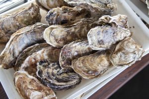 牡蠣は完全栄養食!?鍋でも美味しい牡蠣の栄養とは?